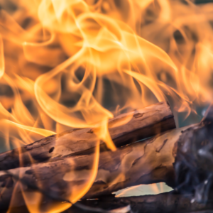 a close up picture of logs burning