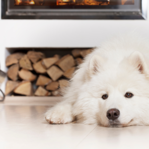 a white husky laying by a wood fireplace or stove