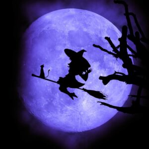 a silhouette of a witch and a cat flying with a broom in front of a purple moon
